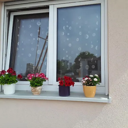 منزل للإقامة Gaestezimmer *